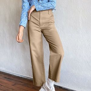 Aritzia pants